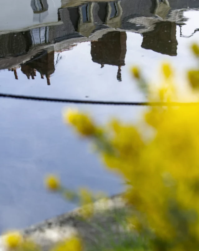 #rennes #rennesmaville #35 #reflet #reclection #street #streetphoto #photooftheday #leclabulleuse