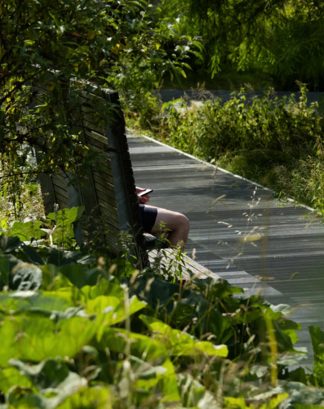 Problème de connexion ?

#moulinducomte #rennes #rennesmaville #jardin #nature #35 #street #streetphotography #deconnexion #leclabulleuse